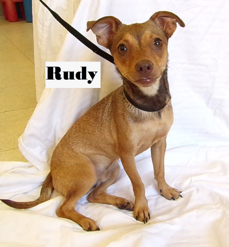 Rudy